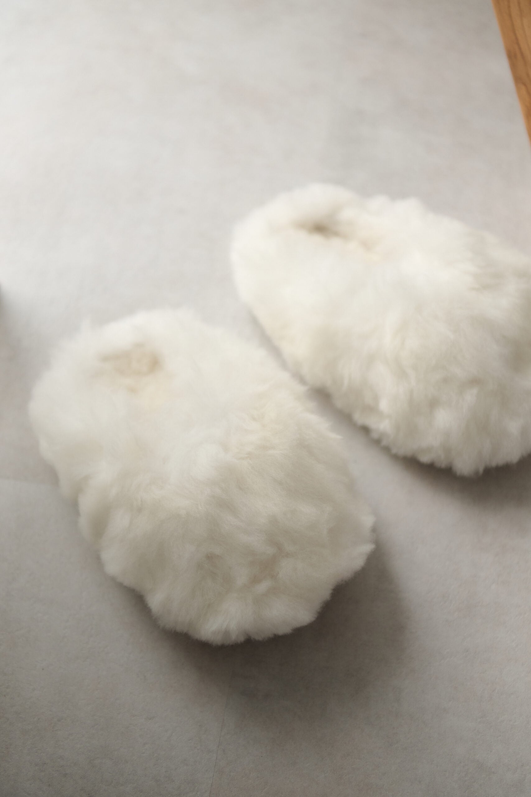 Alpuffas Ivory