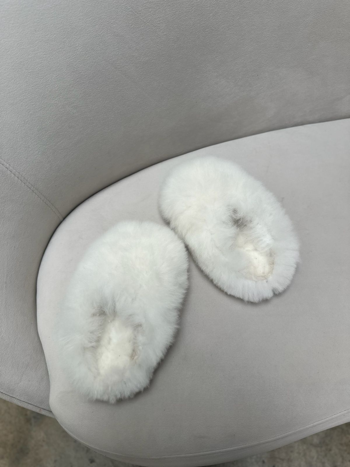 Alpuffas Ivory