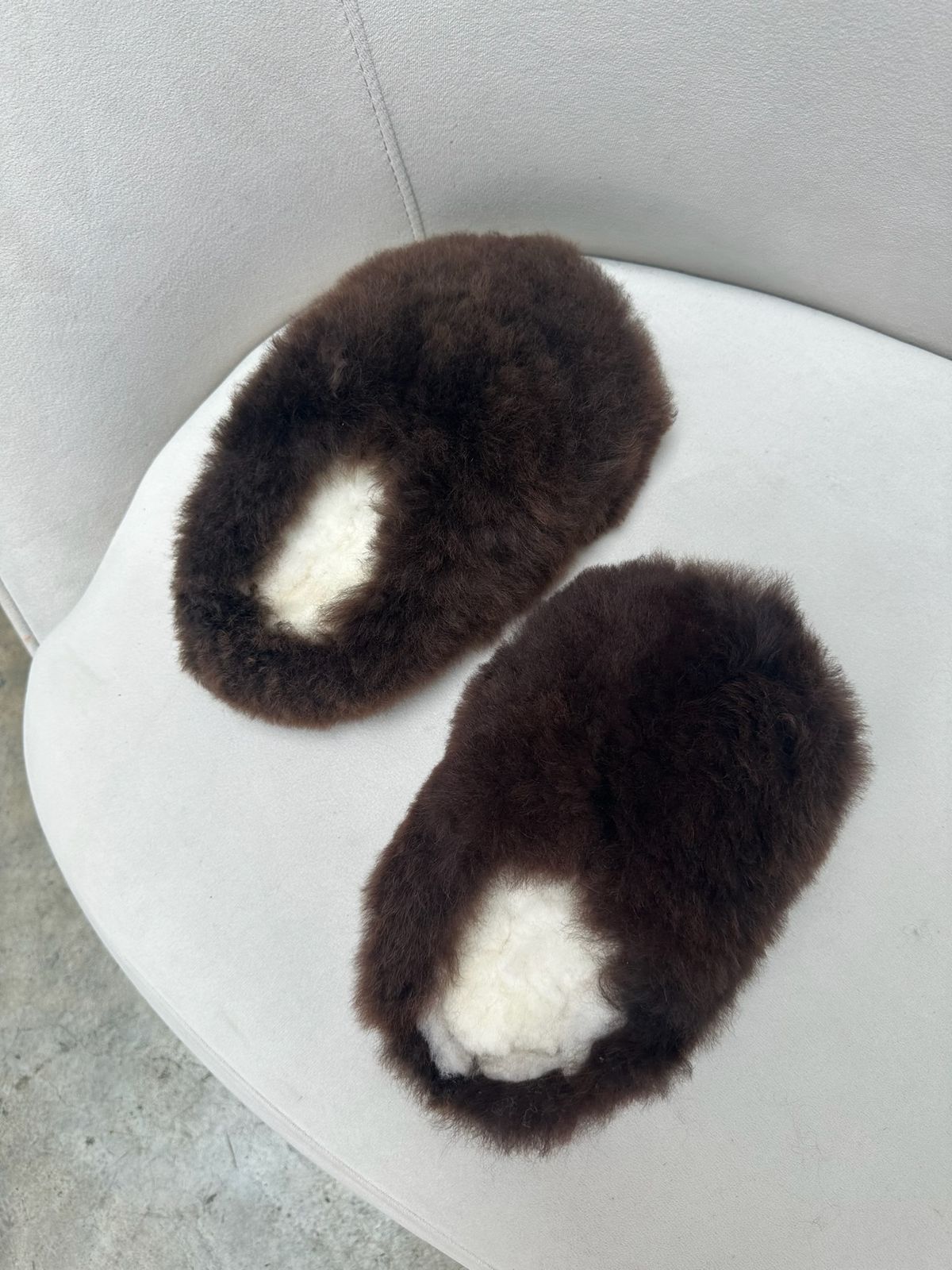 Alpuffas Teddy