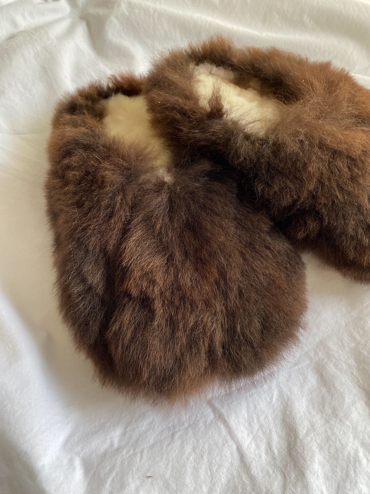 Alpuffas Teddy