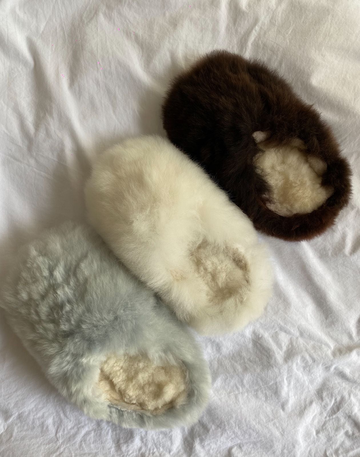 Alpuffas Teddy