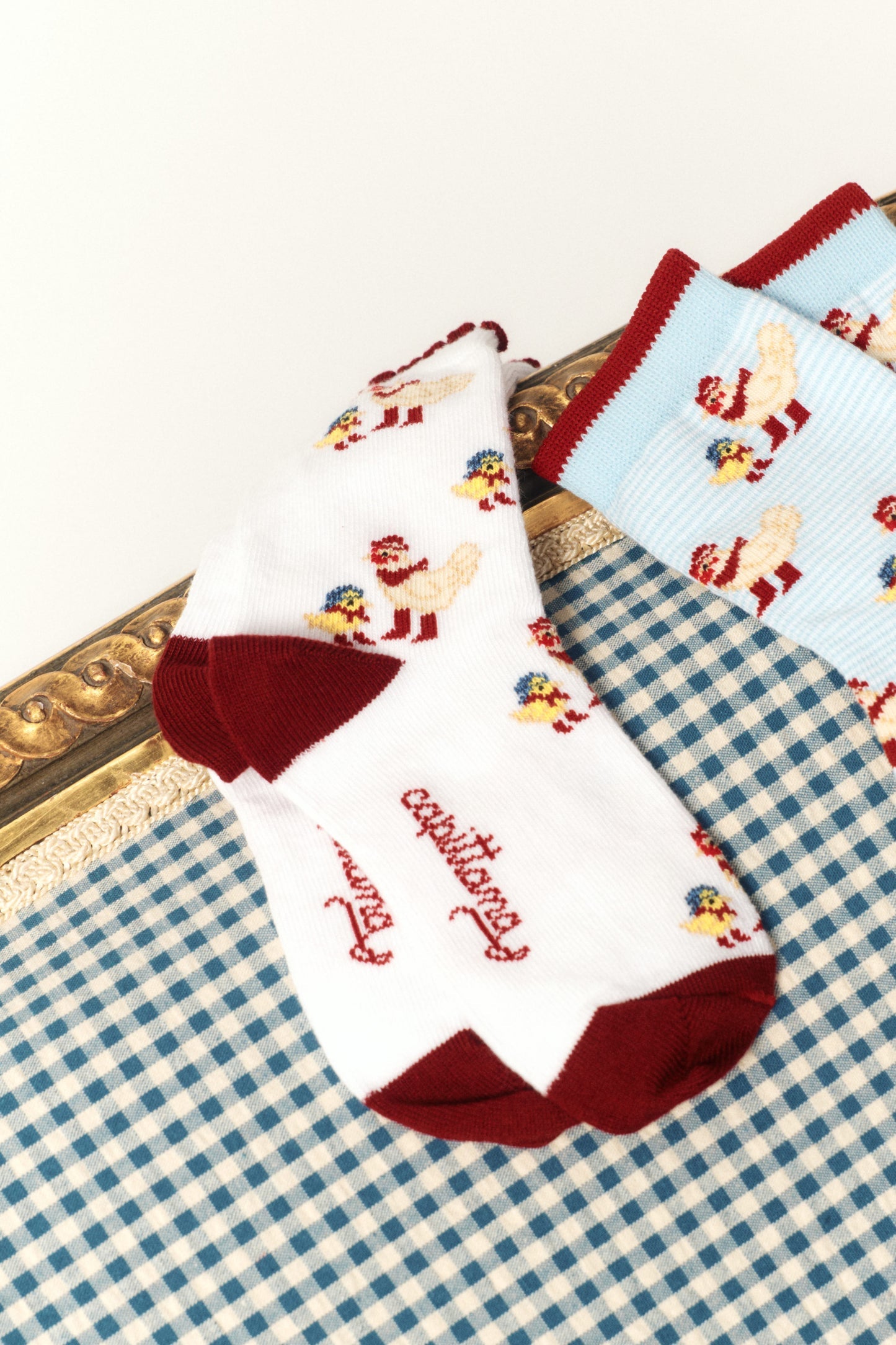 Little Chick Burgundy Socks x Capittana