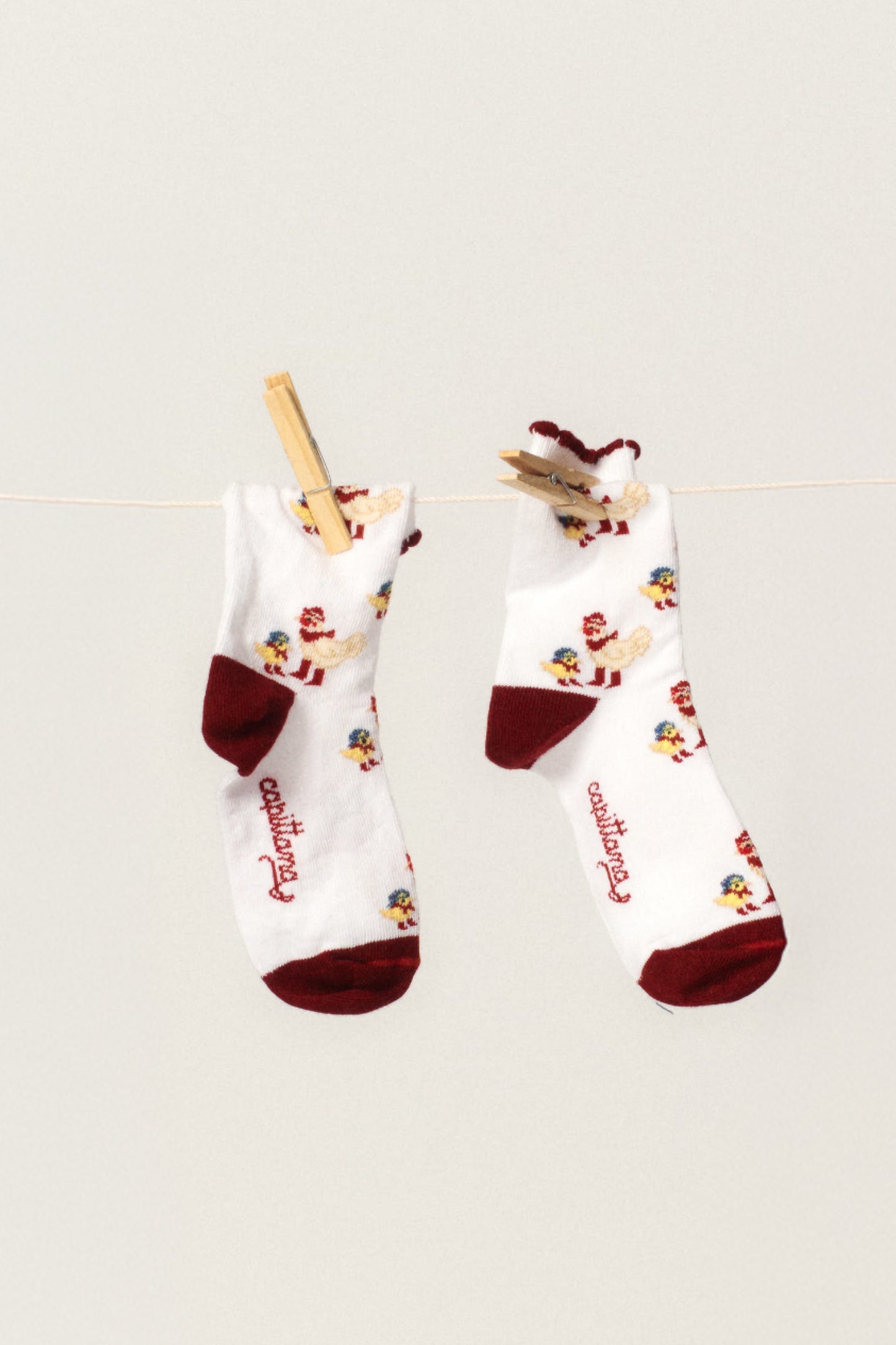 Little Chick Burgundy Socks x Capittana