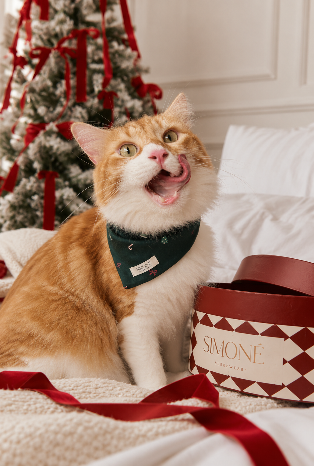Nutcracker Paws - PREVENTA