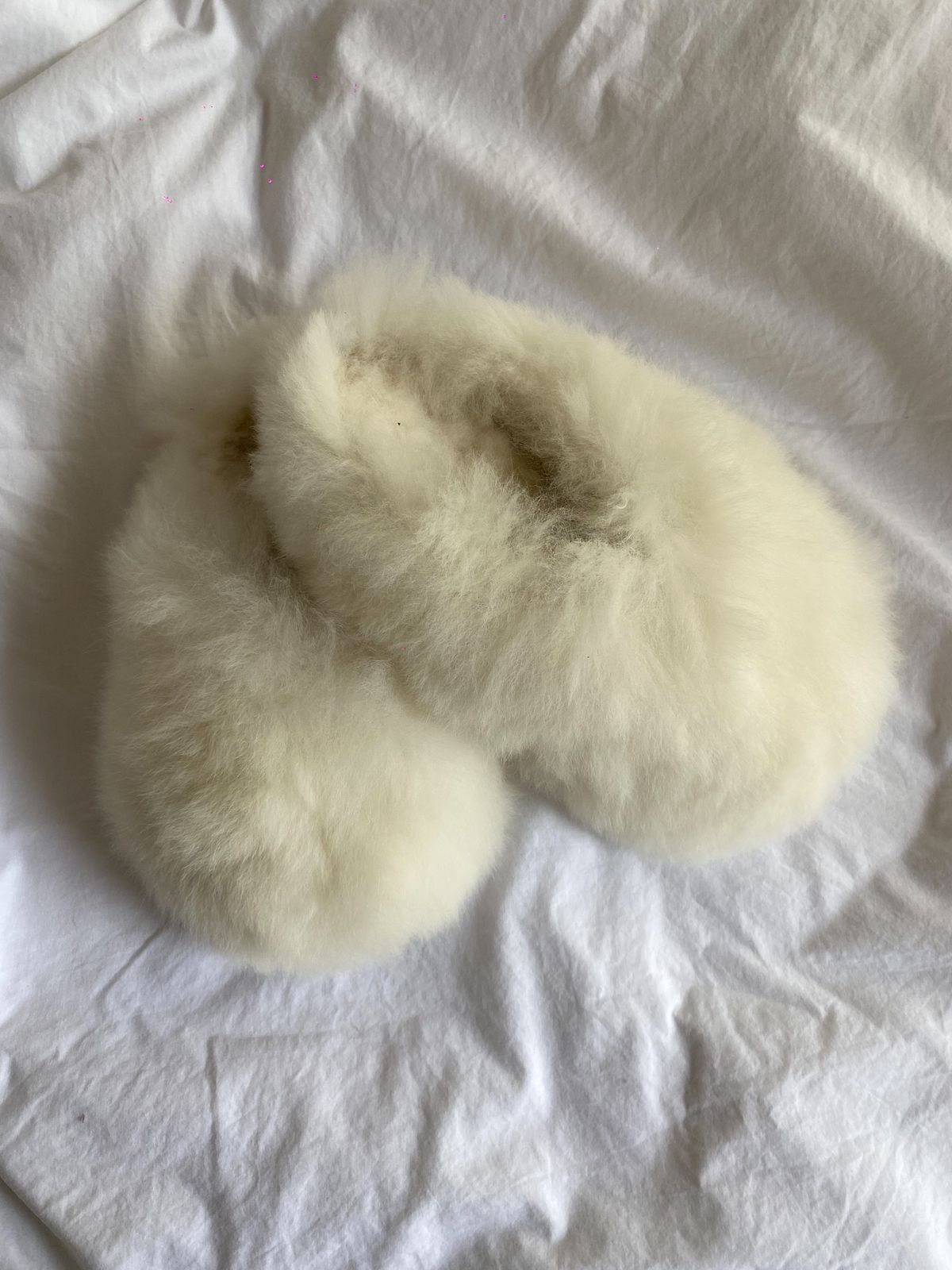 Alpuffas Ivory