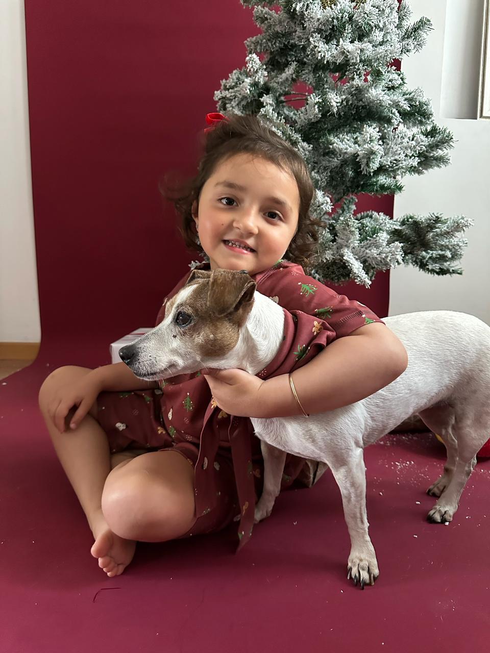MERRY LITTLE