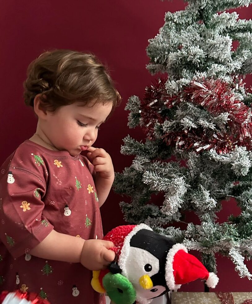 MERRY LITTLE