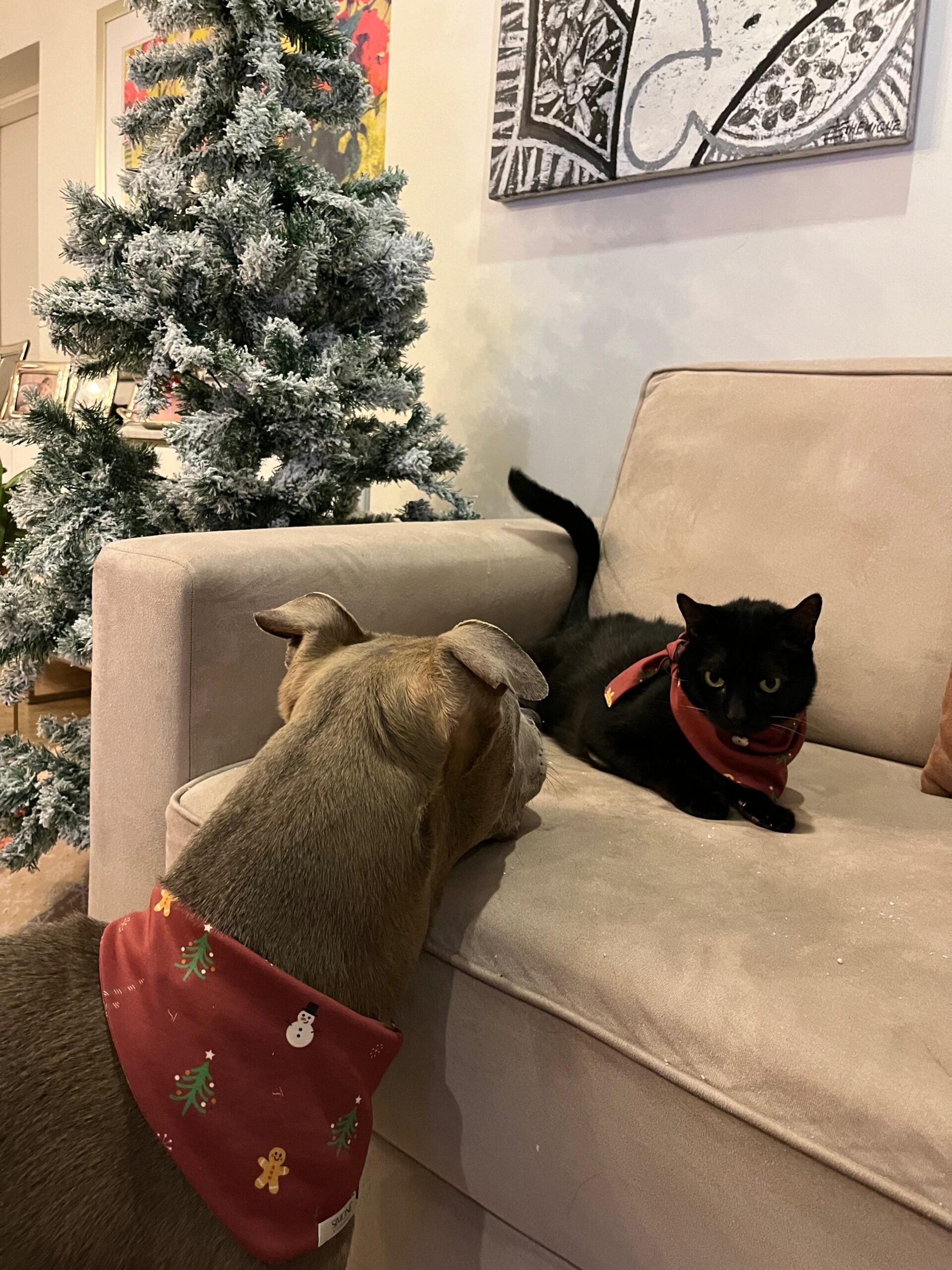 MERRY PAWS