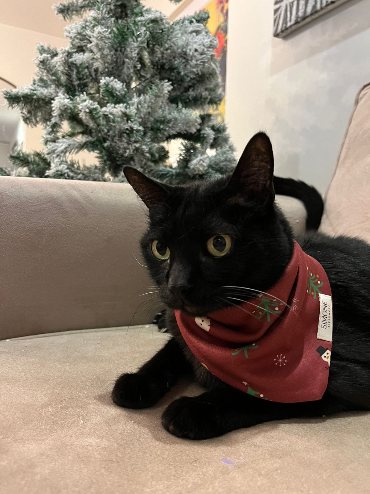 MERRY PAWS