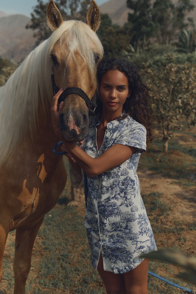 Andean Pima Blue Dress