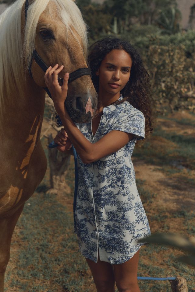 Andean Pima Blue Dress