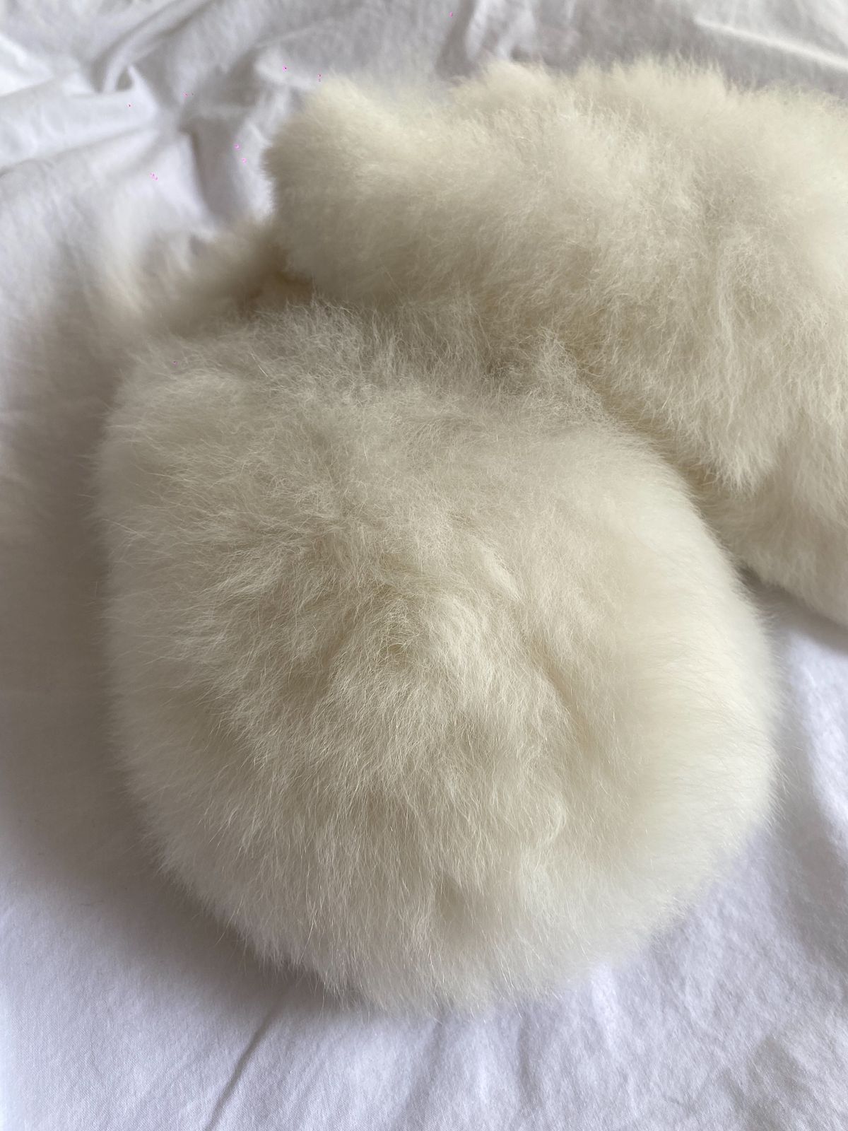 Alpuffas Ivory