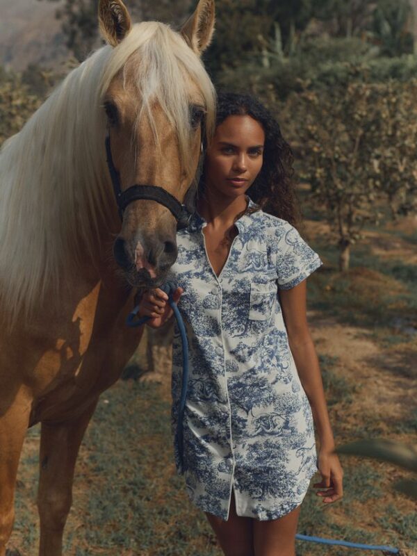 Andean Pima Blue Dress