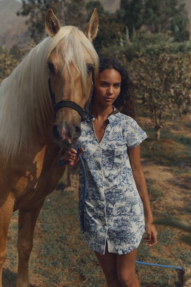 Andean Pima Blue Dress